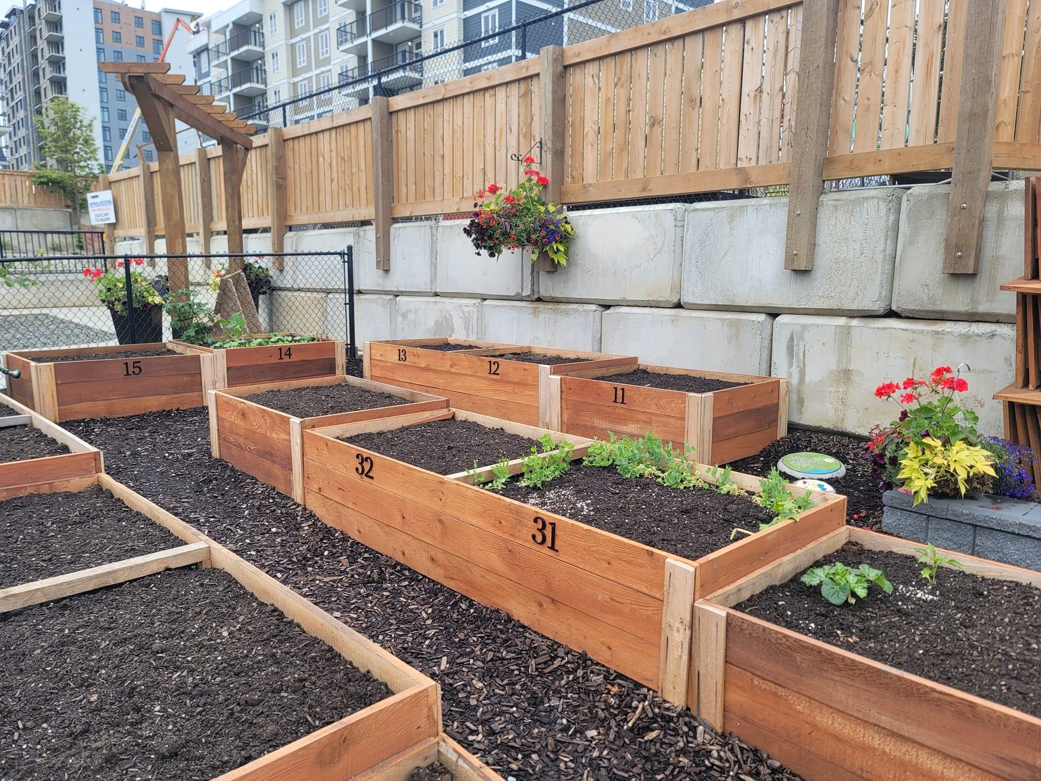 Marshall Property Services, Project manager Vancouver Island, general contractor Vancouver Island, Project manager Victoria, general contractor Victoria, Project manager Nanaimo, general contractor Nanaimo, Project manager Courtenay, general contractor Courtenay, Project manager Campbell River, general contractor Campbell River, Project manager Parksville, general contractor Parksville, Project manager Port Alberni, general contractor Port Alberni, Project manager Duncan, general contractor Duncan, Project manager Colwood, general contractor Colwood, Project manager Langford, general contractor Langford, Project manager Qualicum Beach, general contractor Qualicum Beach, Project manager Ladysmith, general contractor Ladysmith, Project manager Sidney, general contractor Sidney, Project manager Lake Cowichan, general contractor Lake Cowichan, Project manager North Saanich, general contractor North Saanich, Project manager Tofino, general contractor Tofino, Project manager Ucluelet, general contractor Ucluelet, Project manager Cumberland, general contractor Cumberland, Project manager Zeballos, general contractor Zeballos, Project manager Tahsis, general contractor Tahsis, Project manager Gold River, general contractor Gold River, Project manager Port Hardy, general contractor Port Hardy, Project manager Port McNeill, general contractor Port McNeill, Project manager Sayward, general contractor Sayward, Project manager Alert Bay, general contractor Alert Bay, Project manager Sooke, general contractor Sooke, Project manager Esquimalt, general contractor Esquimalt, Project manager Oak Bay, general contractor Oak Bay, Project manager View Royal, general contractor View Royal, Project manager Metchosin, general contractor Metchosin, Project manager Highlands, general contractor Highlands, Project manager Central Saanich, general contractor Central Saanich, Project manager North Cowichan, general contractor North Cowichan, Project manager Lantzville, general contractor Lantzville, Project manager Youbou, general contractor Youbou, Project manager Bowser, general contractor Bowser, Project manager Fanny Bay, general contractor Fanny Bay, Project manager Hornby Island, general contractor Hornby Island, Project manager Denman Island, general contractor Denman Island, Home remodelling services, Residential property management, Best general contractors, Home project management, Increase home value, Convert space to rental, Landscaping and design, Home renovation, Property management services, General contractor near me, Project management for home, Property value increase, Rental property conversion, Landscaping services, Home improvement, Property upgrades, Contractor for renovations, Custom home projects, Income-generating properties, Property optimization, Home design ideas, Professional contractor, Renovation experts, Property renovation experts, House improvement projects, Contractor services, Investment property upgrades, Property enhancement, Home renovation specialists, Rental unit conversion, Custom renovation projects, Professional home design, Property management solutions, Home upgrade ideas, Reliable contractors, Home makeovers, Home remodelling services, Residential property management, Best general contractors, Home project management, Increase home value, Convert space to rental, Landscaping and design, Home renovation, Property management services, General contractor near me, Project management for home, Property value increase, Rental property conversion, Landscaping services, Home improvement, Property upgrades, Contractor for renovations, Custom home projects, Income-generating properties, Property optimization, Home design ideas, Professional contractor, Renovation experts, Property renovation experts, House improvement projects, Contractor services, Investment property upgrades, Property enhancement, Home renovation specialists, Rental unit conversion, Custom renovation projects, Professional home design, Property management solutions, Home upgrade ideas, Reliable contractors, Home makeovers.